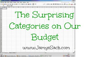 the surprising categories on our budget with title
